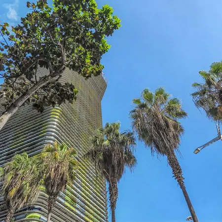 Yan Building By Canariasgetaway